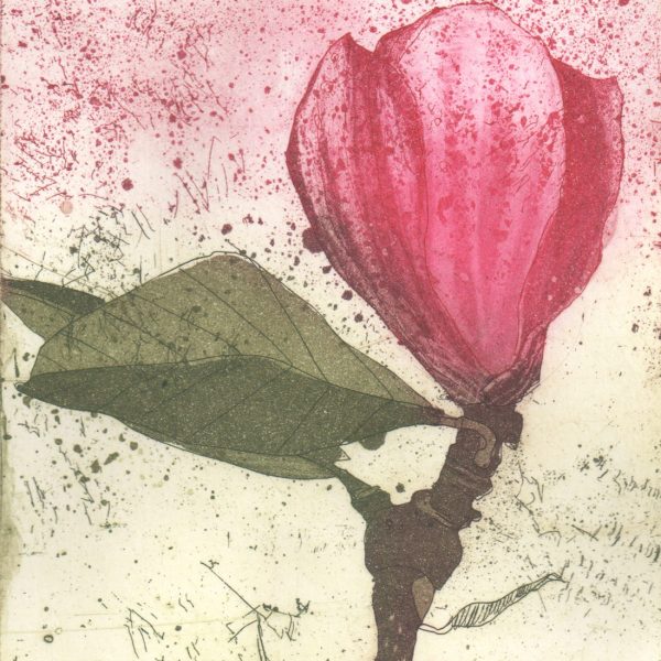 Marta Wakula-Mac, Magnolia VI