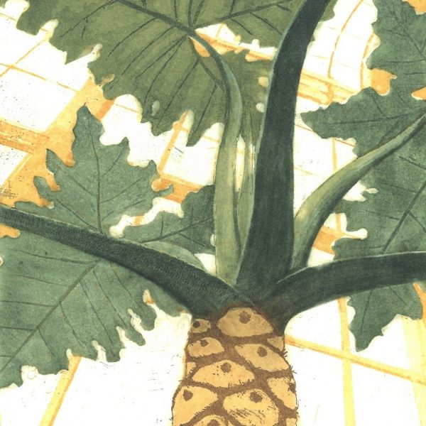 Paul Fitters, Philodendron sp.