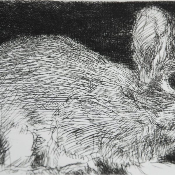 Charles Cullen, Rabbit
