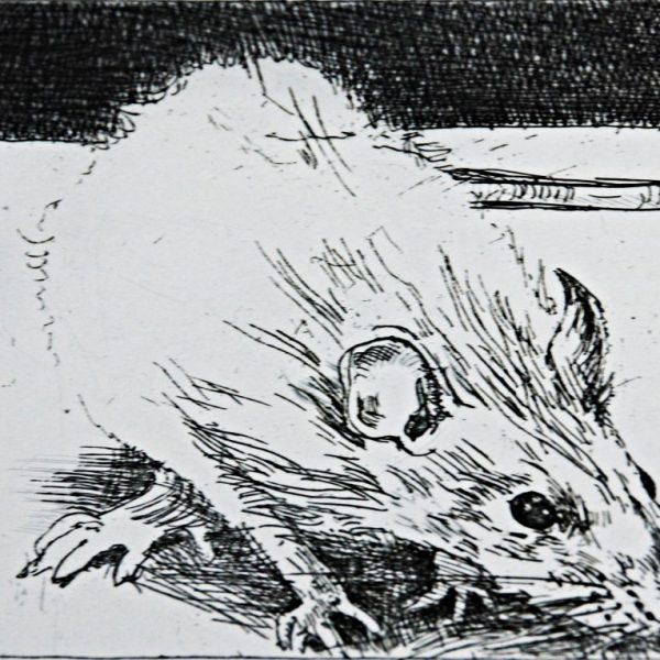 Charles Cullen, Rat