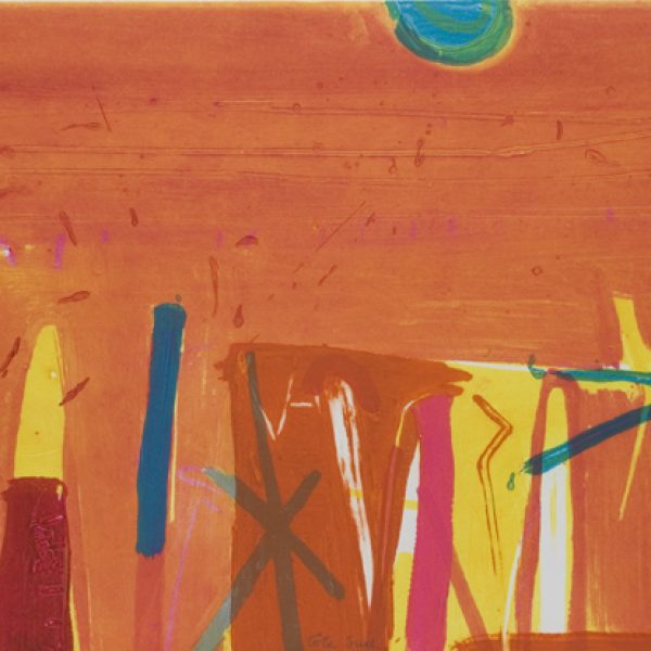 Barbara Rae, Cote Sud