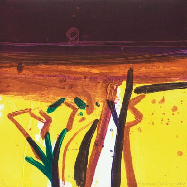 Barbara Rae, Provence Yellow