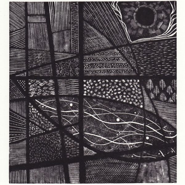 Susan Mannion - Botanic Reflections