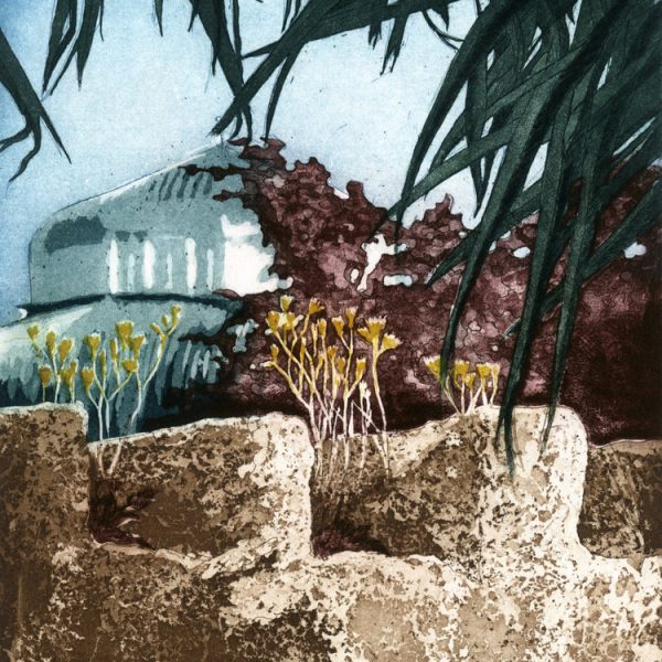 Paul Fitters, Wallflower: Hieracium maculatum