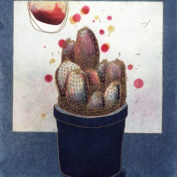 Niamh Flanagan, Invisible Cities: Cactus World