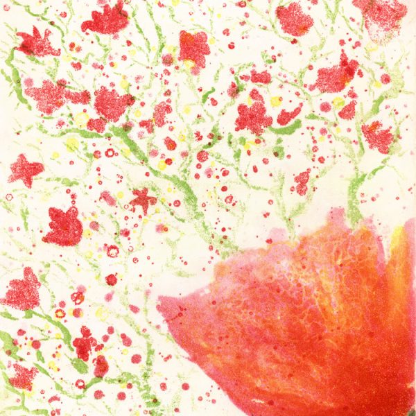 Magnolia Galaxy