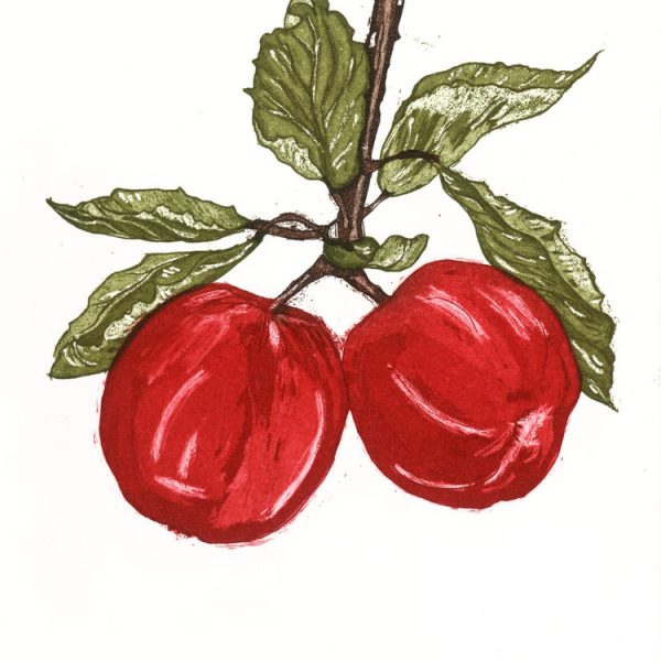Siobhan Hyde, Little Apples