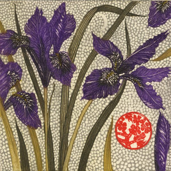 Jean Bardon, Winter Irises