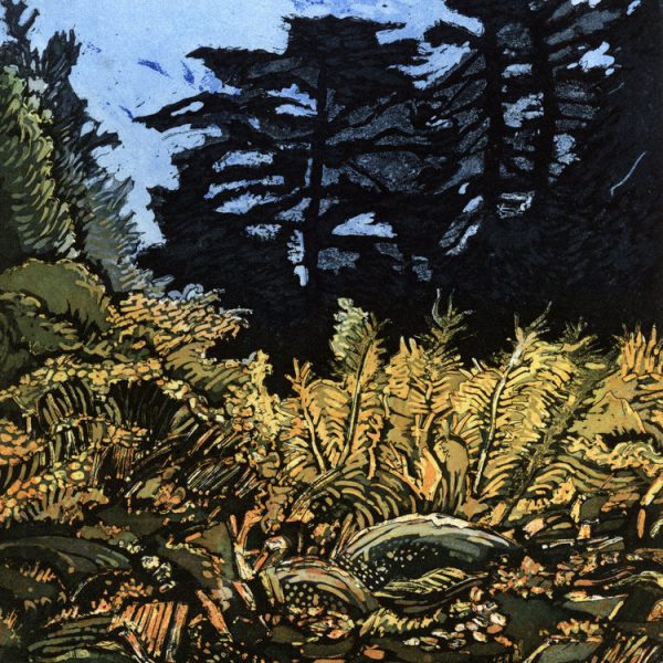 Pamela Leonard, Lost in a forest