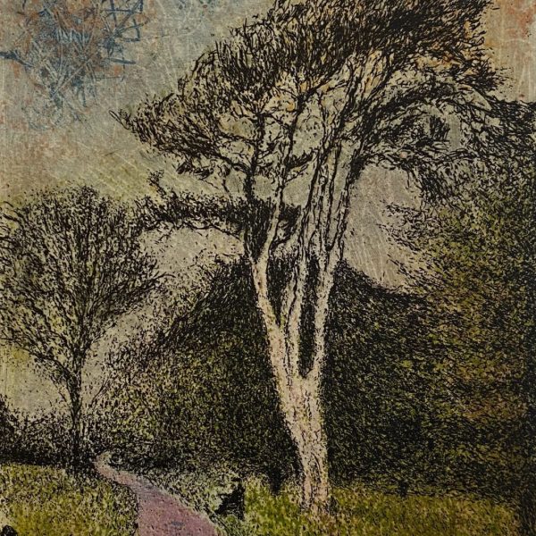 Daniel Lipstein, Tall Pine at the Garden's Depth