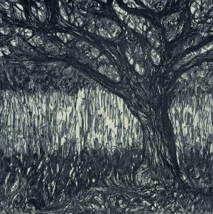 Graphic Studio Dublin • Josie McMorrin: Tree/monochrome/(24:24)/2018/35:38/£165