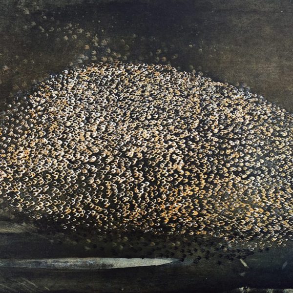 Vincent Sheridan, Motion I
