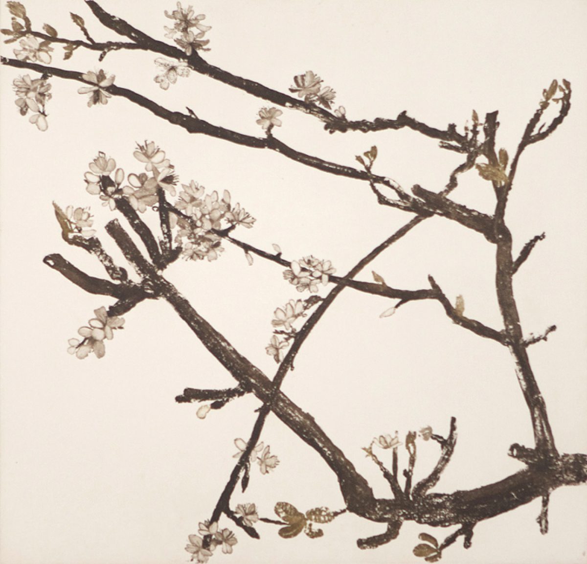 Pear Blossom by Cliona Doyle