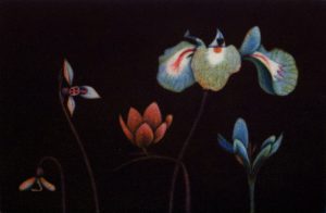 James McCreary, Flowers of Spring III