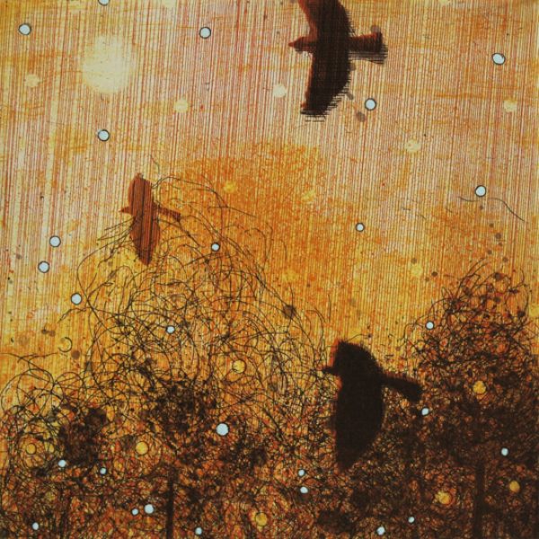 Niall Naessens, Three Cows