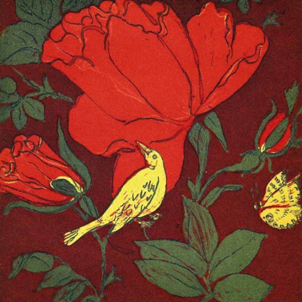 Ruth O'Donnell, Nightingale in the Rose Garden