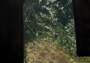 Graphic Studio Dublin • Stephen Vaughan: Glade Edition of 20 Carborundum and Etching Image and Paper size: 70h x 99w cm €660 unframed
