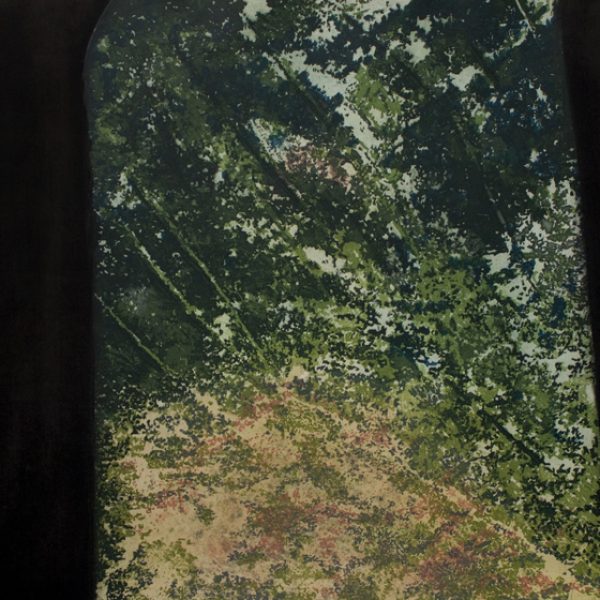 Glade Edition of 20 Carborundum and Etching Image and Paper size: 70h x 99w cm €660 unframed