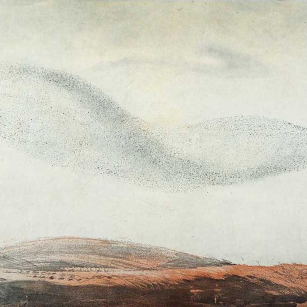 Vincent Sheridan Murmuration II Edition of 40 €600 Etching Size: 45cm x 61cm 2015