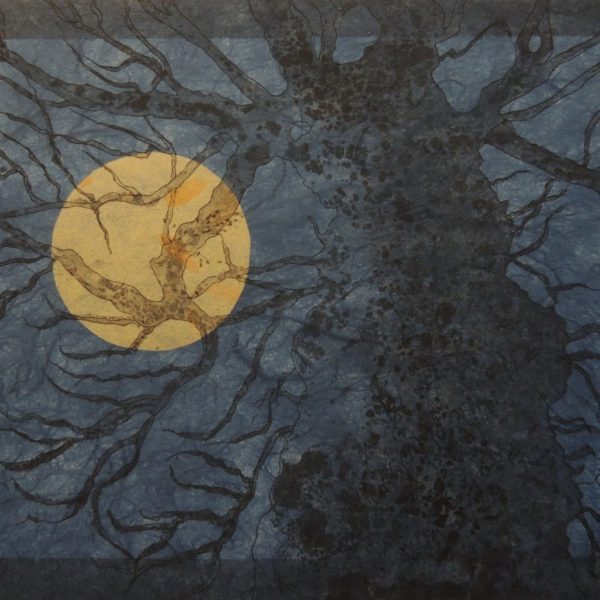 Title: Moonlight, Skerries Harbour Medium: Etching Edition of 20 Image Size h 24.75 cm w 20.75 cm Paper Size h 44.50 cm w 35.50 cm Price: 125 euro Cost of frame: 70 euro