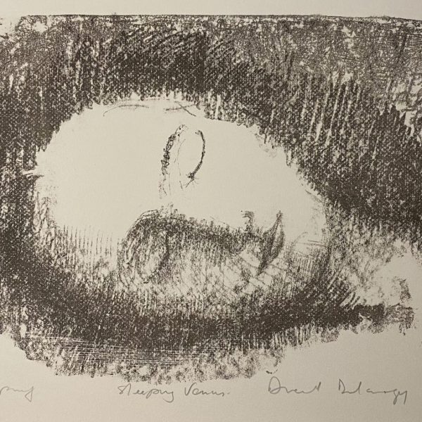Dermot Delargy, Sleeping Venus €400