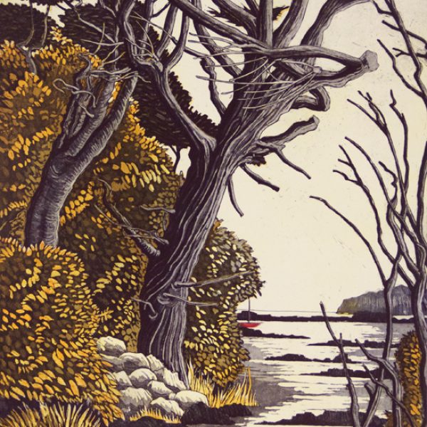 Storm Tree