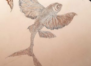 20190308_133246 20190308_133246