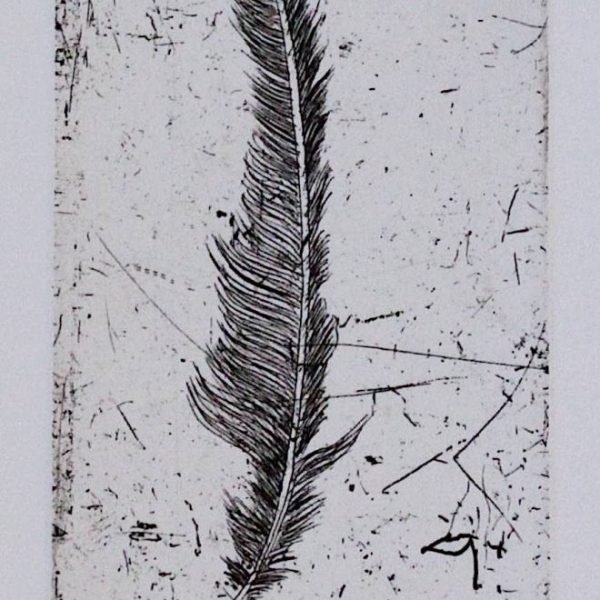 Feather