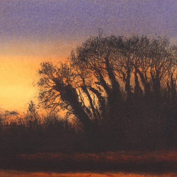 AilbheBarrett, Evening Lull