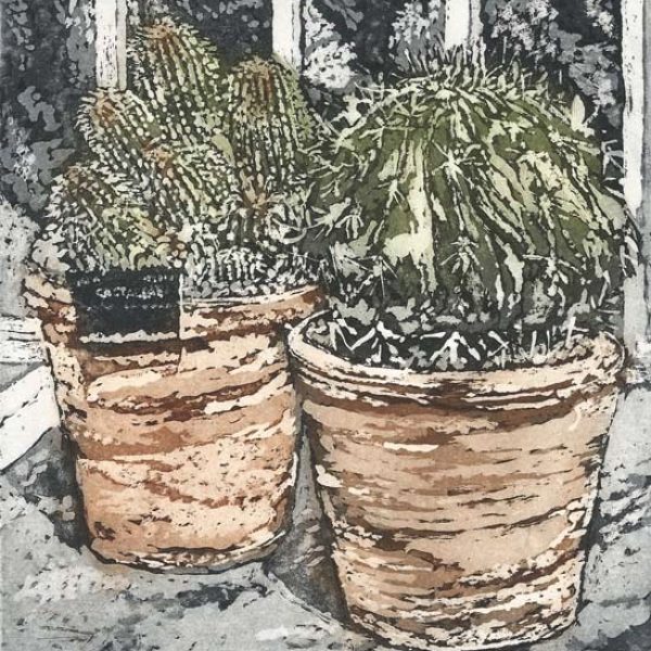 Botanics Early Susan - Cacti