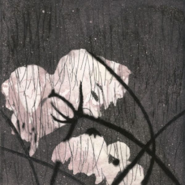 Ceannbhán, Frieda Meaney