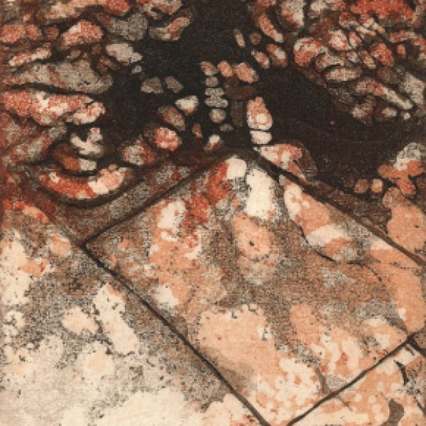 Dappled Shadows, Margaret McLoughlin