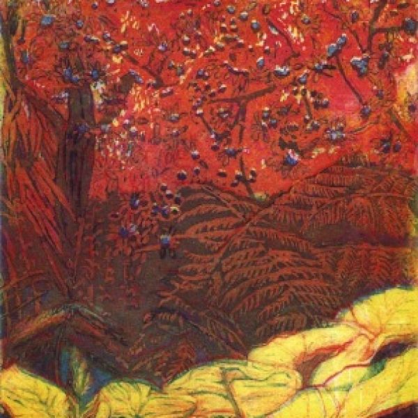 Fiery Ferns, Adrienne Symes
