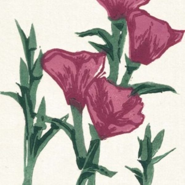 First Summer, Amy O’Neill