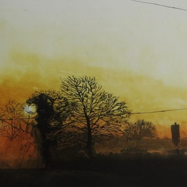 Golden Sunrise over Oxley's field, Geraldine O'Reilly
