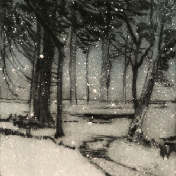 Mid-winter Gardens, Marie-Louise Martin