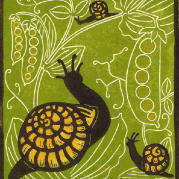 Outside the Shell, Rebecca Homfray