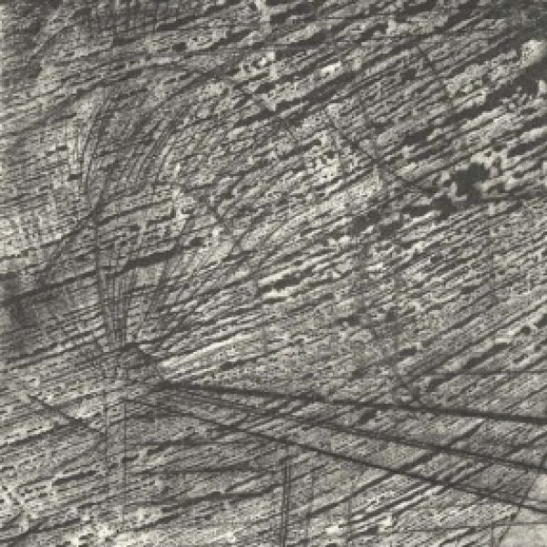 Palmhouse II, Joe Ryan