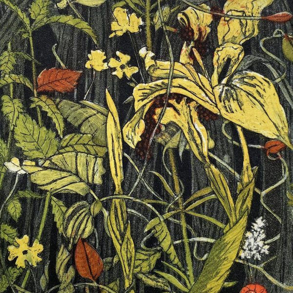 Pamela Leonard, Seeking Space