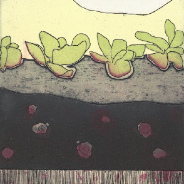 Part II: in which heads of lettuce dance unaware and snails lurk below, Niamh Flanagan