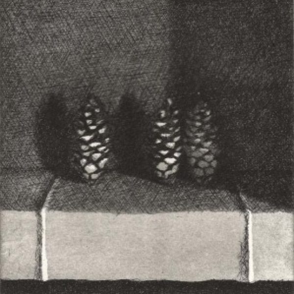 Pine Cones, Raphael Hynes