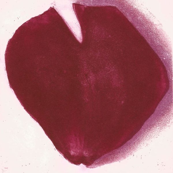 Rose Petal, John Campion
