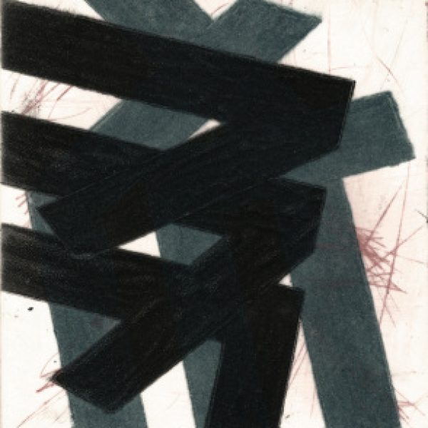Sonoran Desert, John Fitzsimons