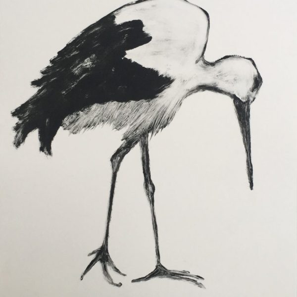 Storn I