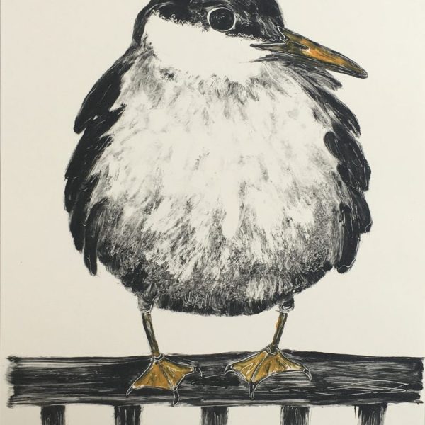 Tern