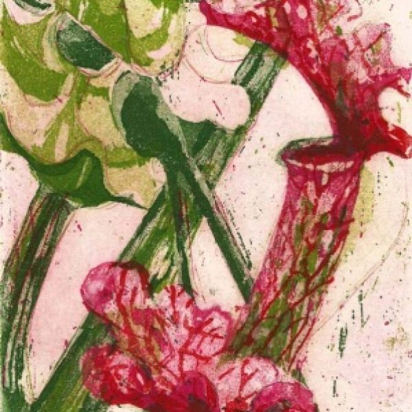 Tropical Plant, Deirdre Shanley