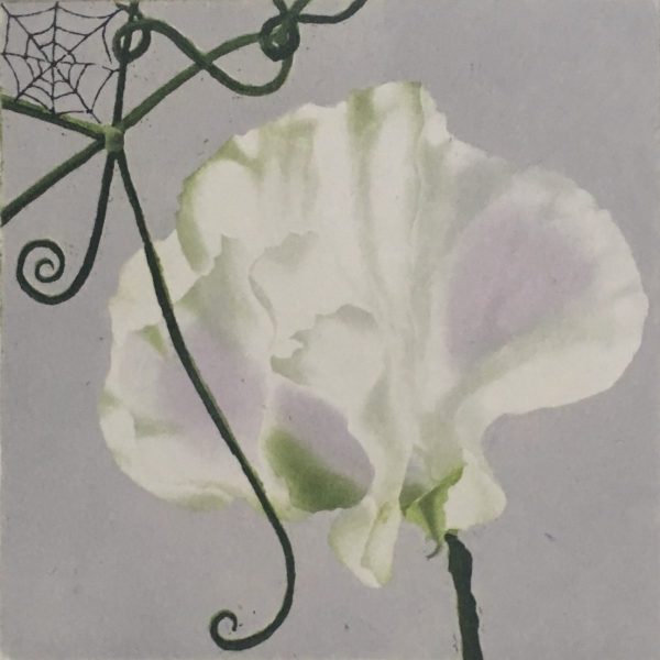 Sweet Pea, Maura Keating.