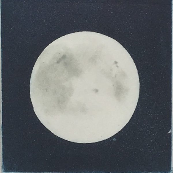 The pure cold light in the sky, Maura keating