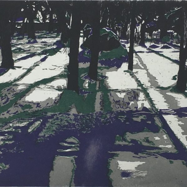 Winter Shadows, Dermott Ryan