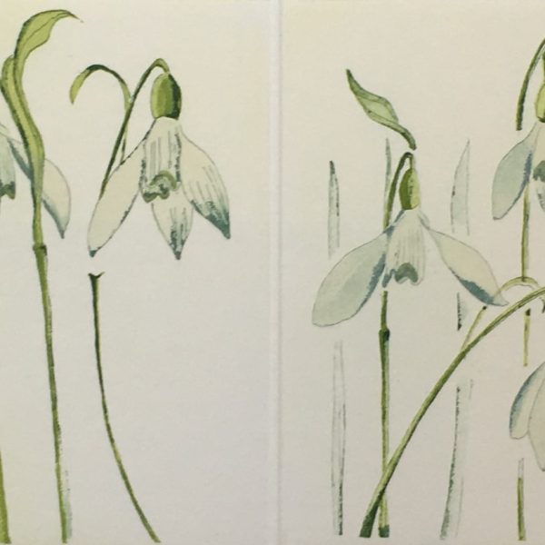 Grainne Cuffe, Light on the horizon